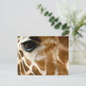 Giraffe Face | Foto van de dierentuin Wilde Dieren Briefkaart (Staand voorkant)