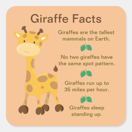 Giraffe Facts Vierkante Sticker (Voorkant)