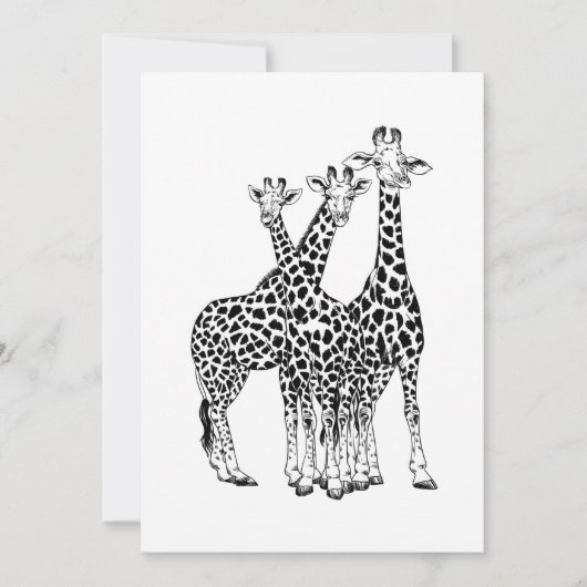 Giraffe familie (Voorkant)