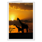 Giraffe Familie 2 (Voorkant)