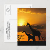 Giraffe Familie 2 Briefkaart (Voorkant / Achterkant)