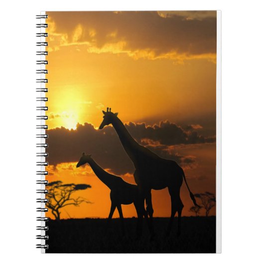 Giraffe Familie 2 Notitieboek (Voorkant)
