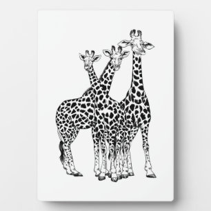 Giraffe familie fotoplaat