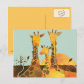 Giraffe familie in Afrika Briefkaart (Voorkant / Achterkant)