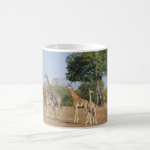 Giraffe Familie koffiemok