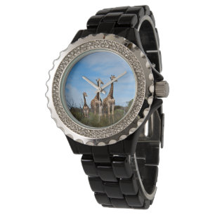 Giraffe familie op grasachtige heuveltop horloge