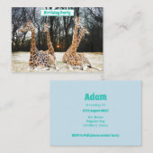 Giraffe Forrest Fun Party Uitnodiging - Vier verga (Voorkant / Achterkant)