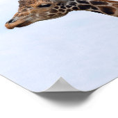 Giraffe Foto 106 Poster (Hoek)