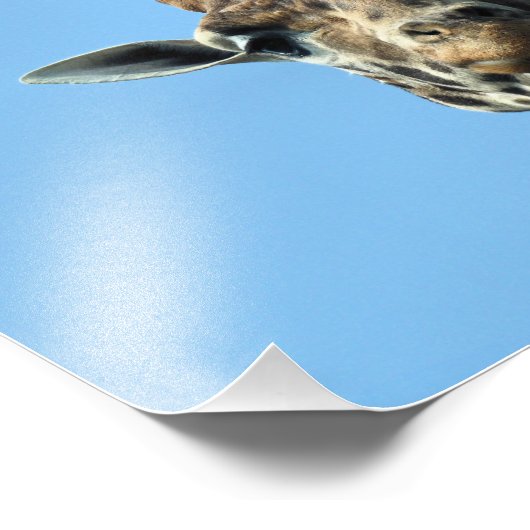 GIRAFFE FOTO AFDRUK (Hoek)