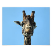 GIRAFFE FOTO AFDRUK (Voorkant)