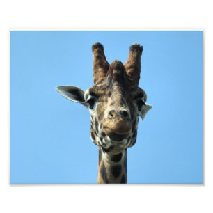 GIRAFFE FOTO AFDRUK