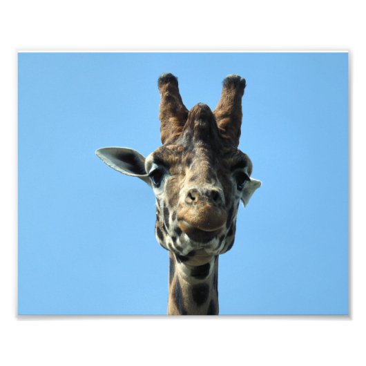 GIRAFFE FOTO AFDRUK (Voorkant)
