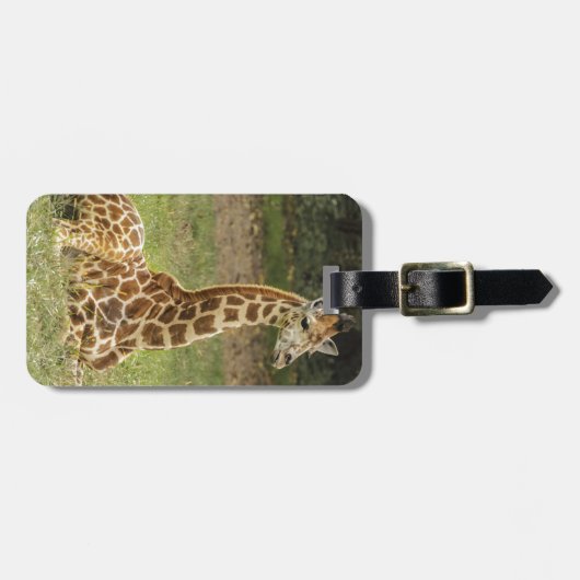 Giraffe Foto Bagagelabel (Voorkant horizontaal)