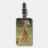Giraffe Foto Bagagelabel (Voorkant verticaal)