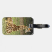 Giraffe Foto Bagagelabel (Achterkant horizontaal)
