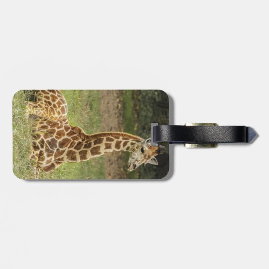 Giraffe Foto Bagagelabel (Achterkant horizontaal)