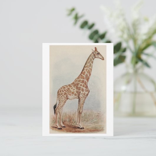  Giraffe Foto Briefkaart (Staand voorkant)