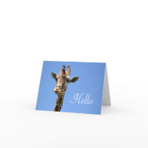 Giraffe Foto Cute Hallo Blue