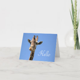 Giraffe Foto Cute Hallo Blue Kaart