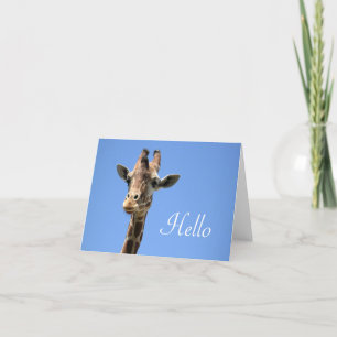 Giraffe Foto Cute Hallo Blue Kaart