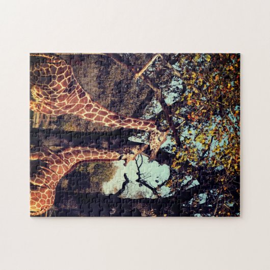 Giraffe Foto Legpuzzel (Horizontaal)