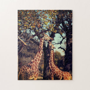 Giraffe Foto Legpuzzel