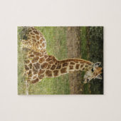 Giraffe Foto Legpuzzel (Horizontaal)