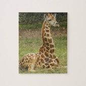 Giraffe Foto Legpuzzel (Verticaal)