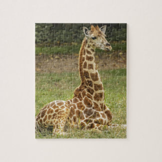 Giraffe Foto Legpuzzel