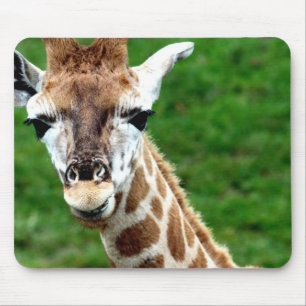 Giraffe Foto Muismat
