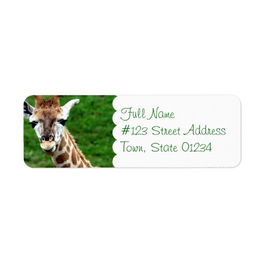 Giraffe foto retouradres mailinglabel etiket (Voorkant)