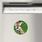 Giraffe foto ronde magneet (Insitu (Vaatwasser))