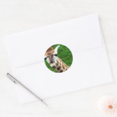 Giraffe Foto Stickers (Envelop)