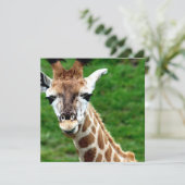 Giraffe Foto Uitnodiging (Staand voorkant)
