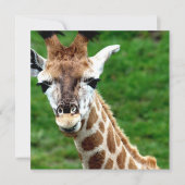 Giraffe Foto Uitnodiging (Voorkant)