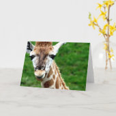 Giraffe Foto Wenskaart Kaart (Gele Bloem)