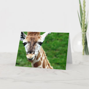 Giraffe Foto Wenskaart Kaart