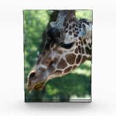 Giraffe fotoblok (Voorkant)