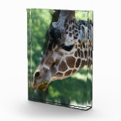 Giraffe fotoblok (Rechts)