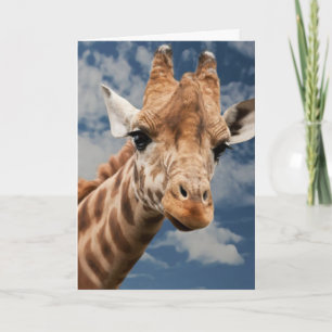 GIRAFFE FOTOGRAFIE BIRTHDAY KAART