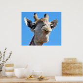 Giraffe fotografie-profiel poster (Keuken)