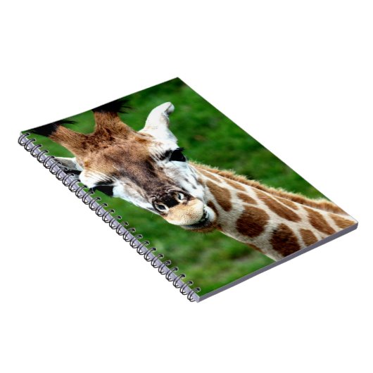 Giraffe-fotonotebook Notitieboek (Rechterzijde)