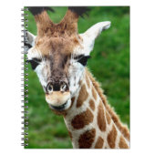 Giraffe-fotonotebook Notitieboek (Voorkant)