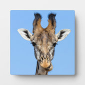 Giraffe Fotoplaat (Voorkant)