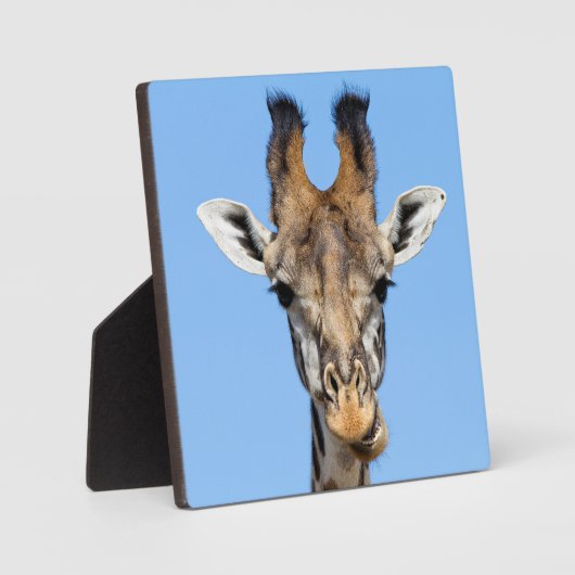 Giraffe Fotoplaat (Voorkant)