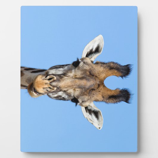 Giraffe Fotoplaat (Voorkant)