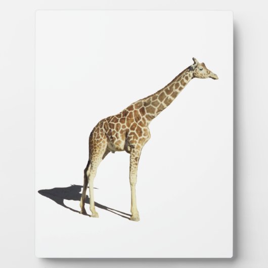 Giraffe Fotoplaat (Voorkant)