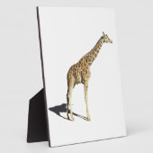 Giraffe Fotoplaat (Zijkant)