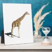 Giraffe Fotoplaat (Zijkant)