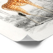 Giraffe , franse illustratie 10 x 8 poster (Hoek)
